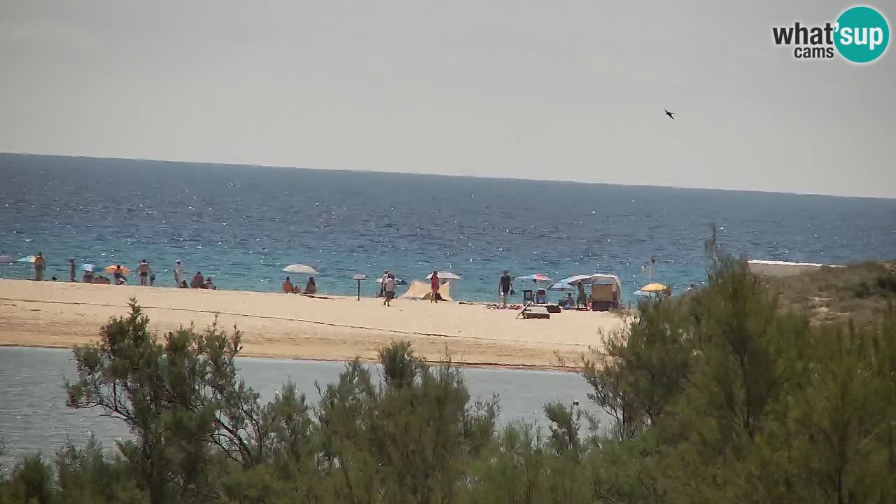 Webcam Chia – Live View of Su Giudeu Beach