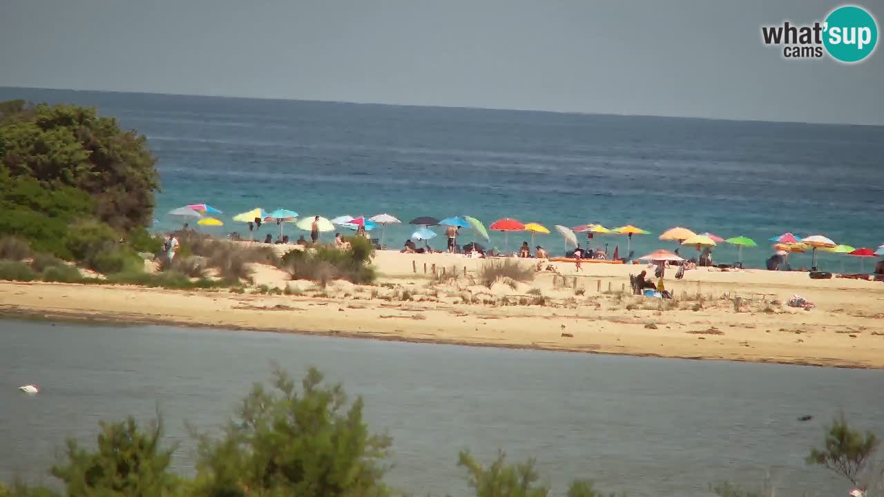 Webcam Chia – Live View of Su Giudeu Beach