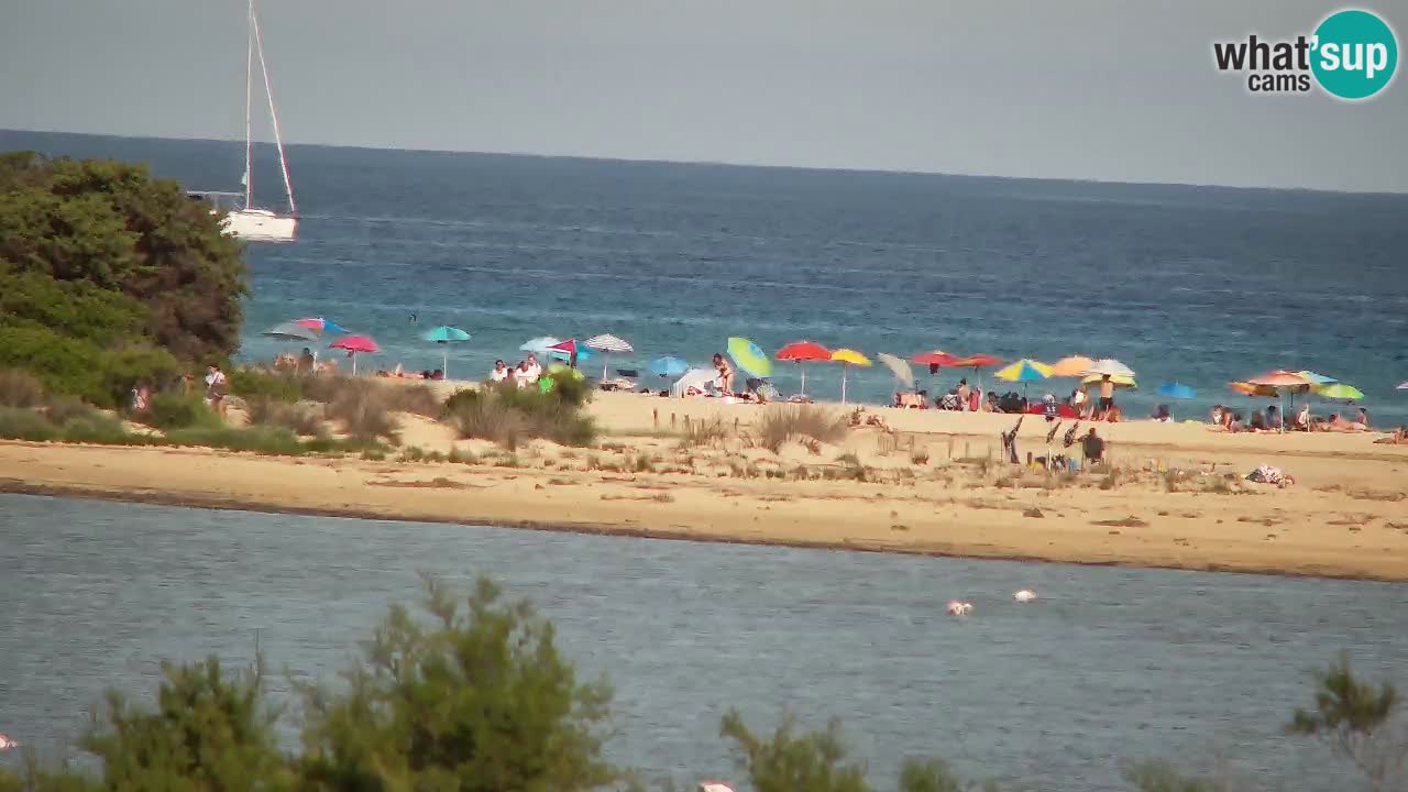 Webcam Chia – Vista en directo de la playa Su Giudeu