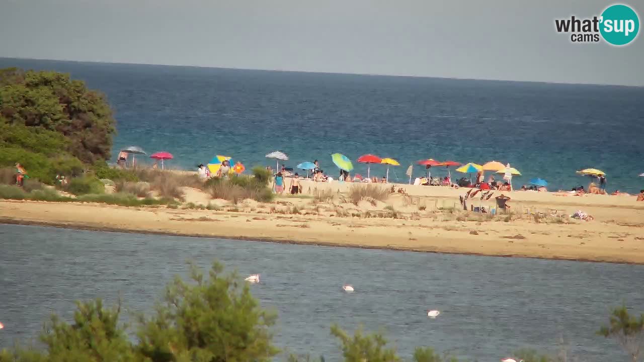 Spletna kamera Chia – Pogled v živo na plažo Su Giudeu