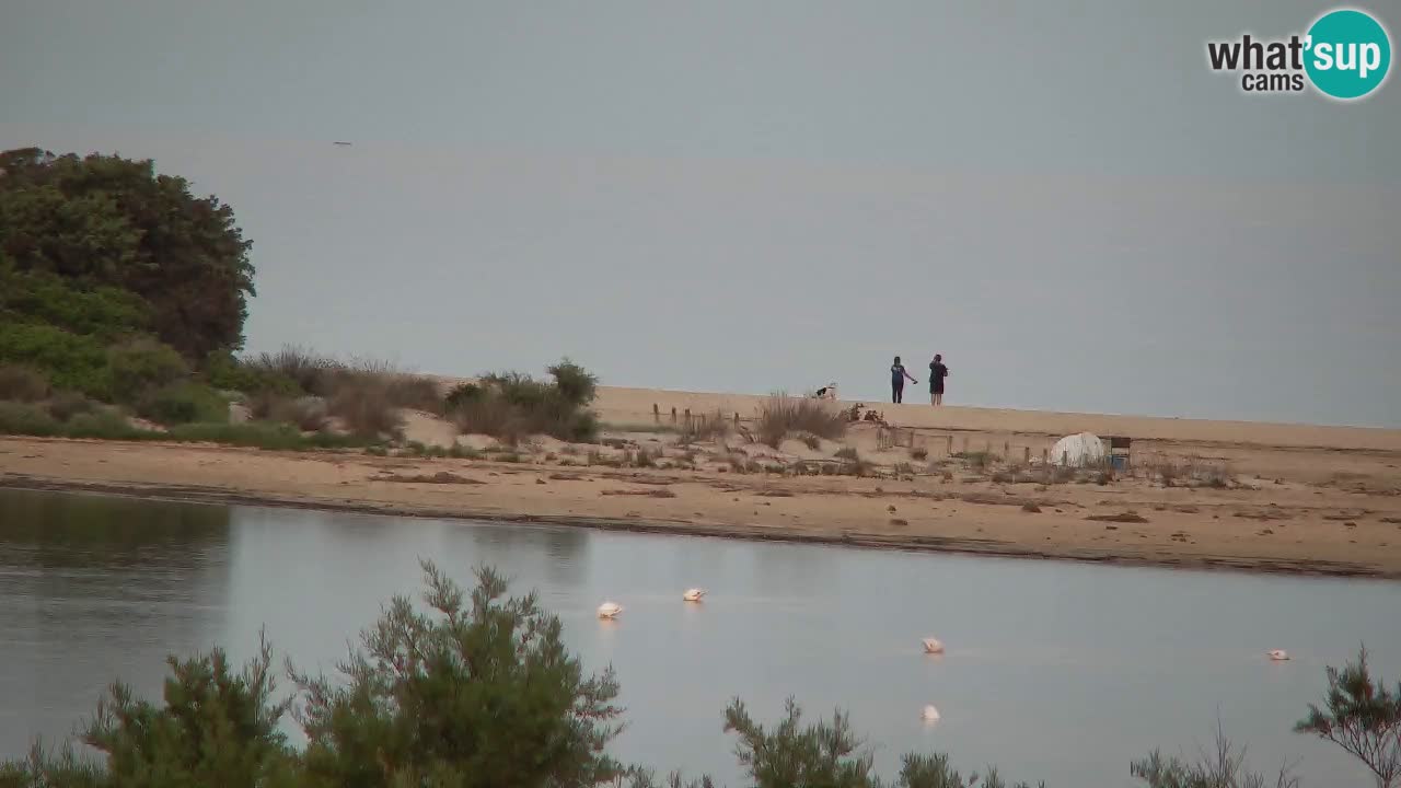 Spletna kamera Chia – Pogled v živo na plažo Su Giudeu