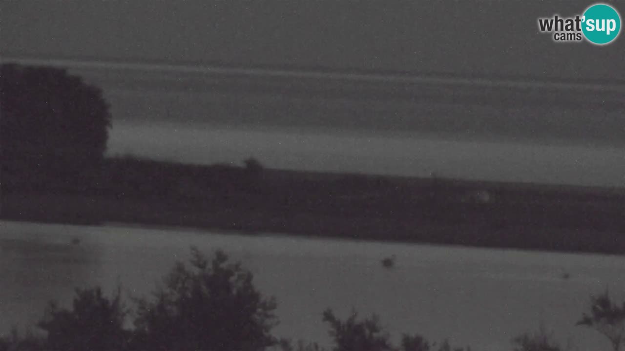 Webcam Chia – Live View of Su Giudeu Beach