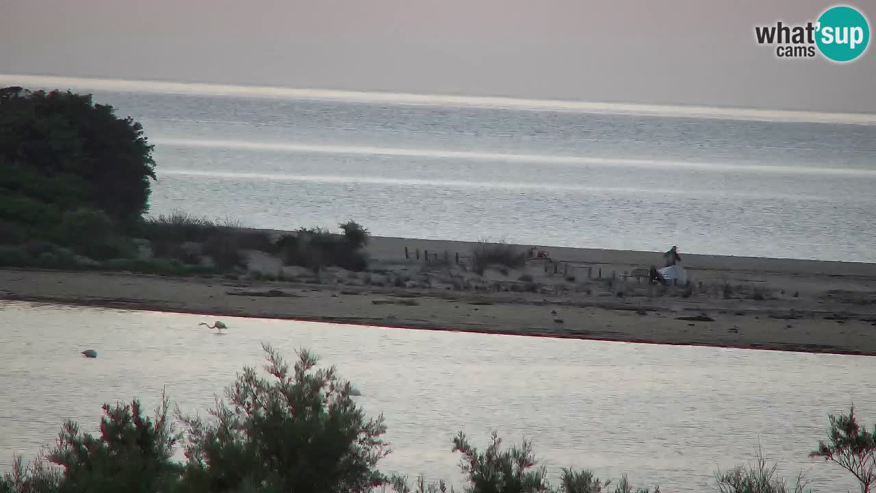 Spletna kamera Chia – Pogled v živo na plažo Su Giudeu