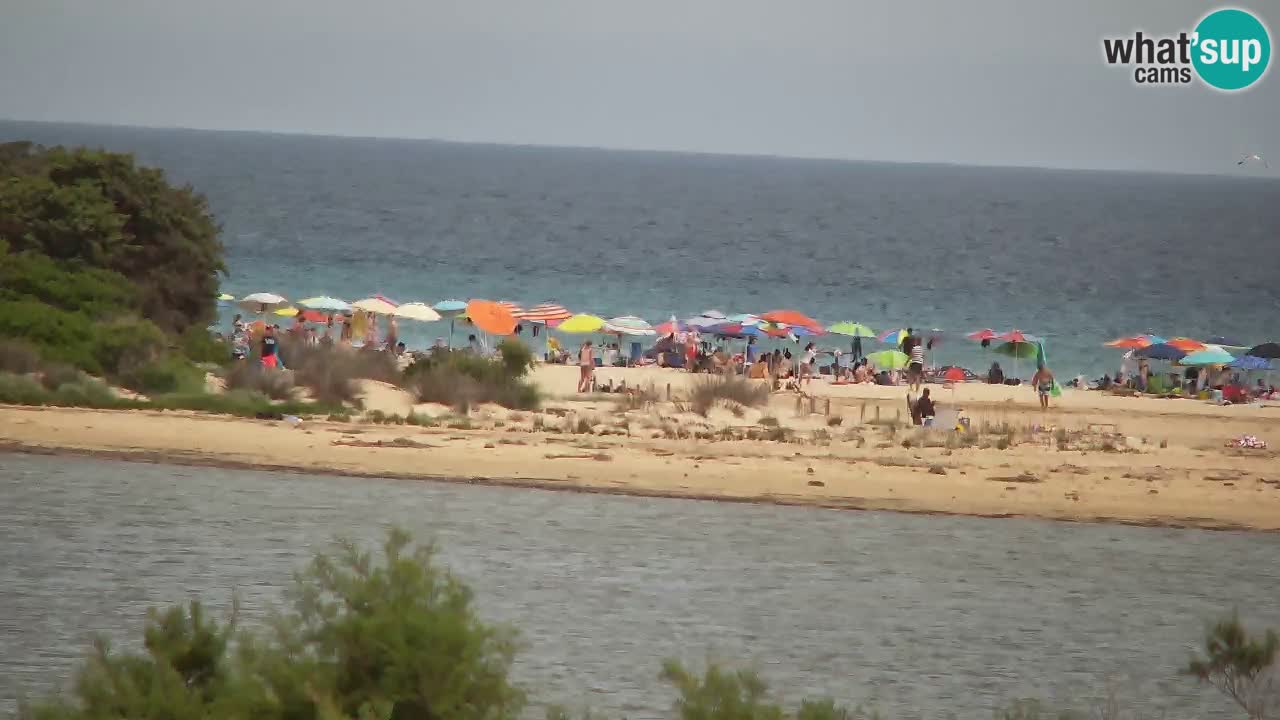 Webcam Chia – Live View of Su Giudeu Beach