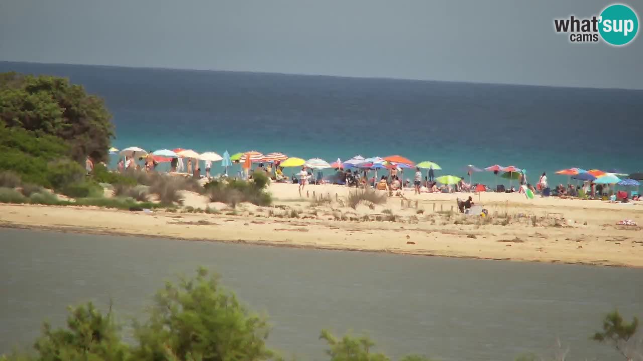 Webcam Chia – Live View of Su Giudeu Beach