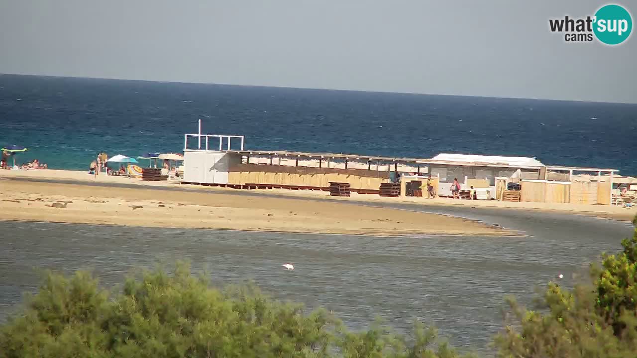 Webcam Chia – Live View of Su Giudeu Beach