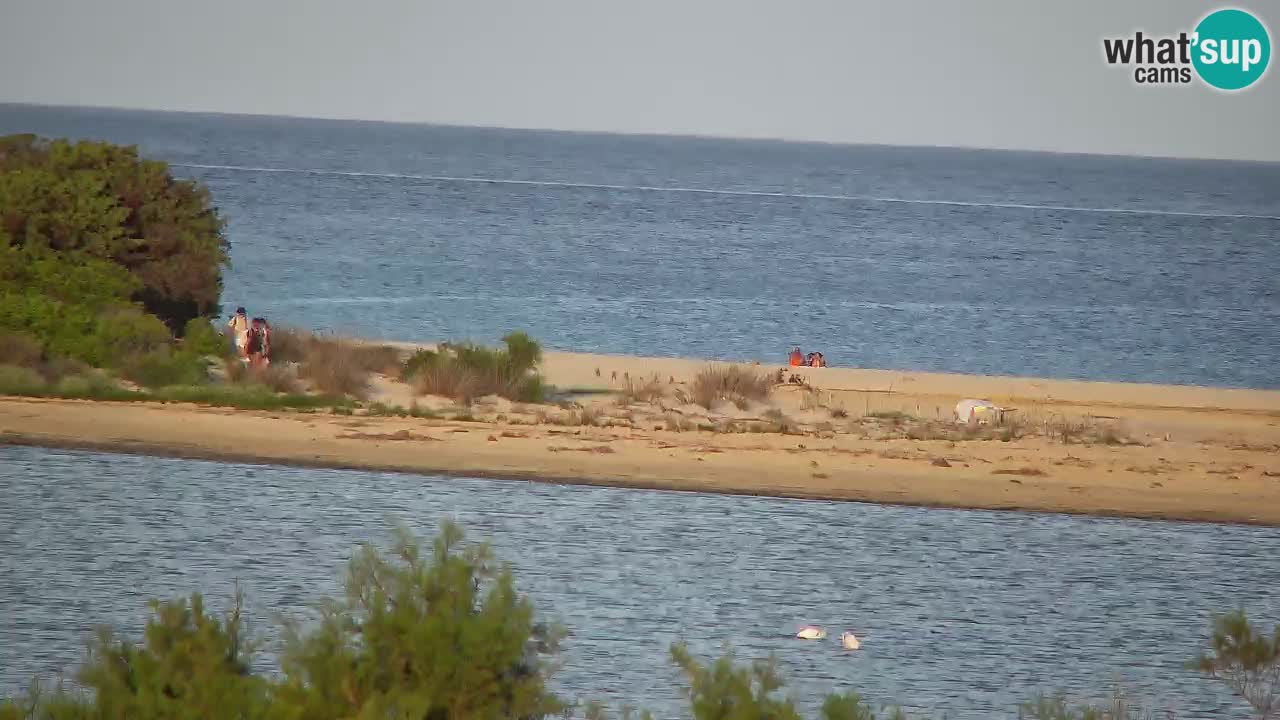 Webcam Chia – Live View of Su Giudeu Beach
