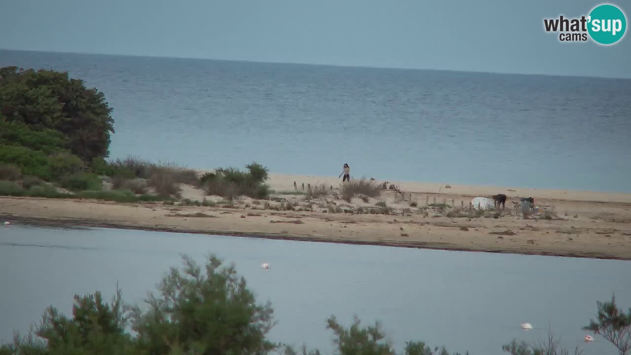 Webcam Chia – Live View of Su Giudeu Beach