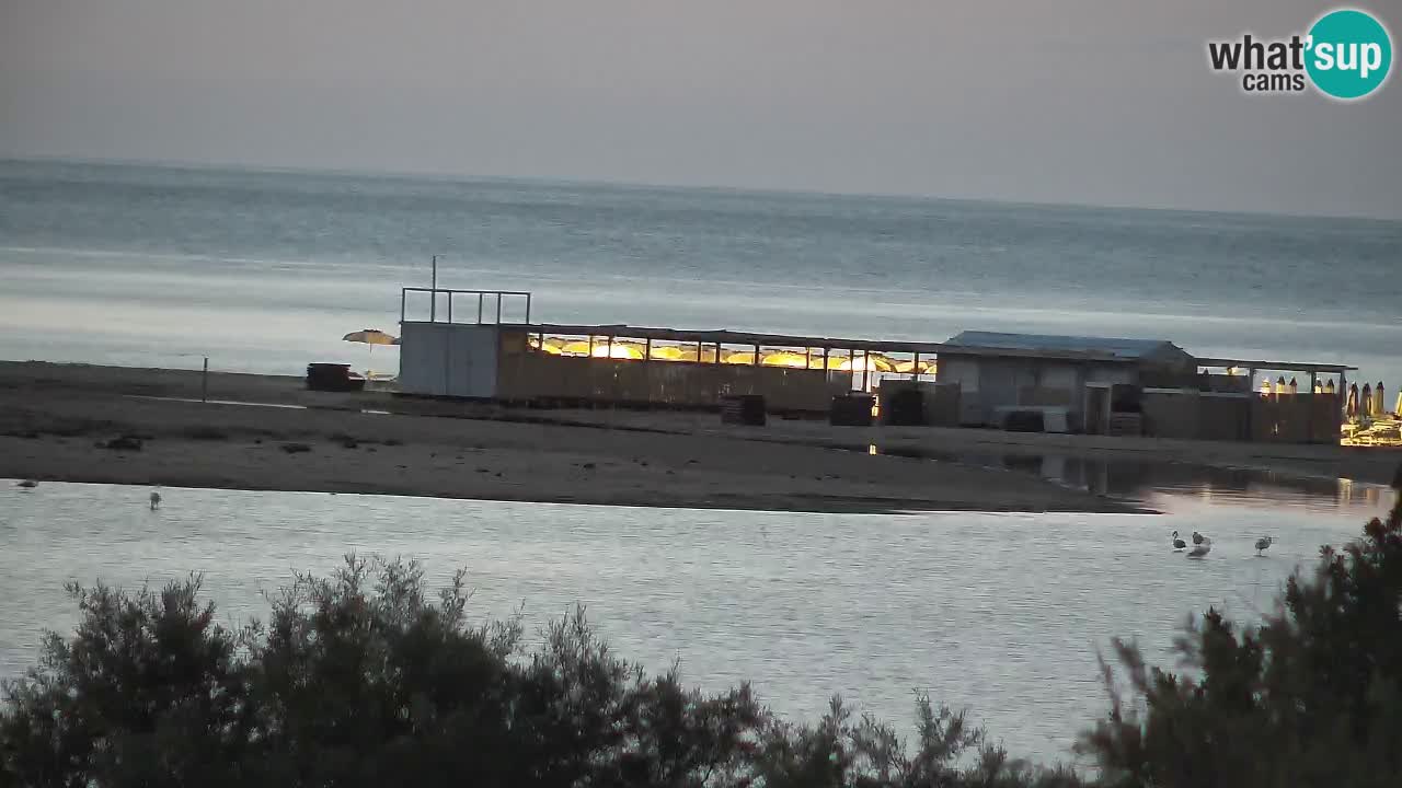 Webcam Chia – Live View of Su Giudeu Beach