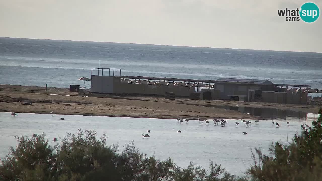 Webcam Chia – Liveblick auf den Strand Su Giudeu