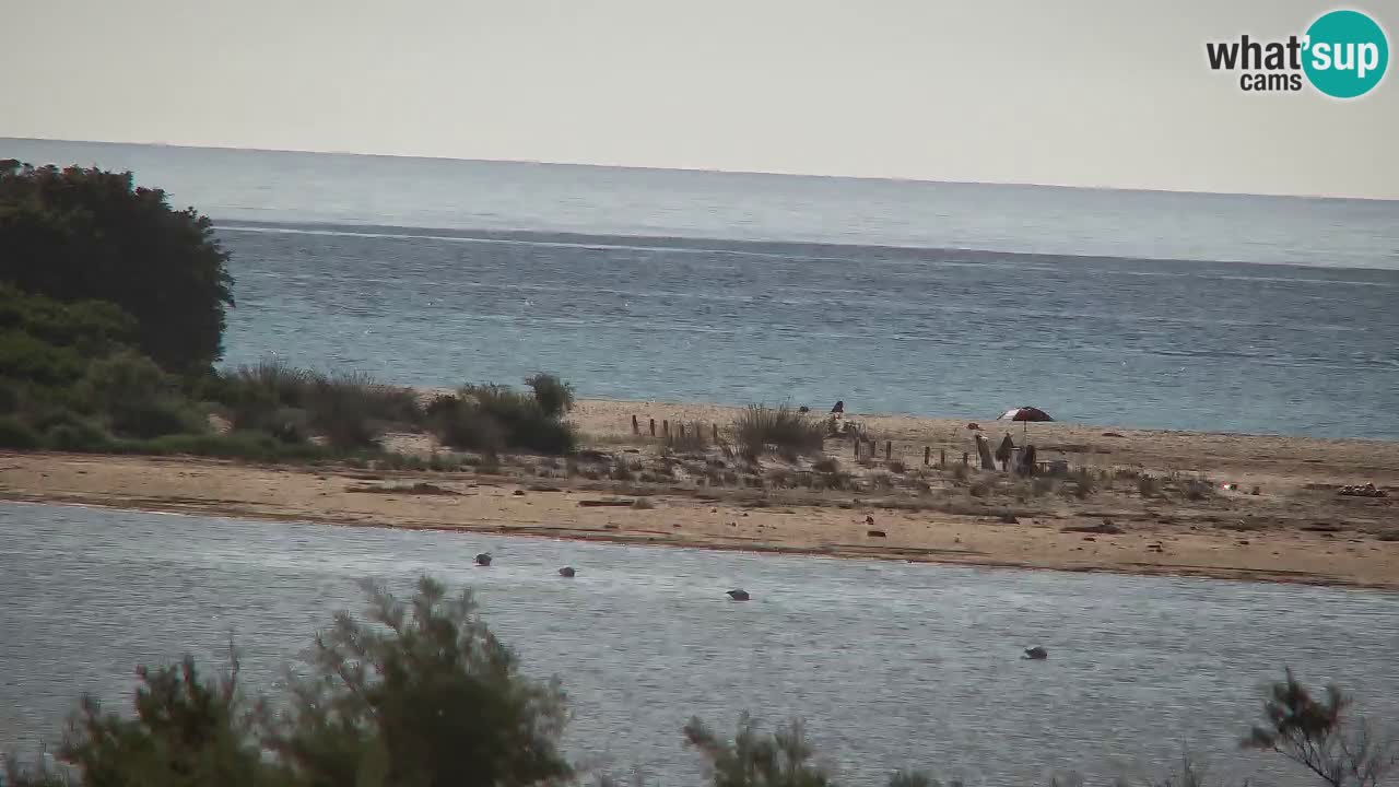 Webcam Chia – Vista en directo de la playa Su Giudeu
