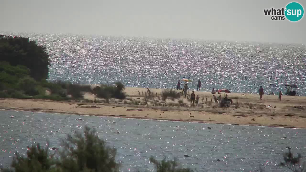 Webcam Chia – Live View of Su Giudeu Beach