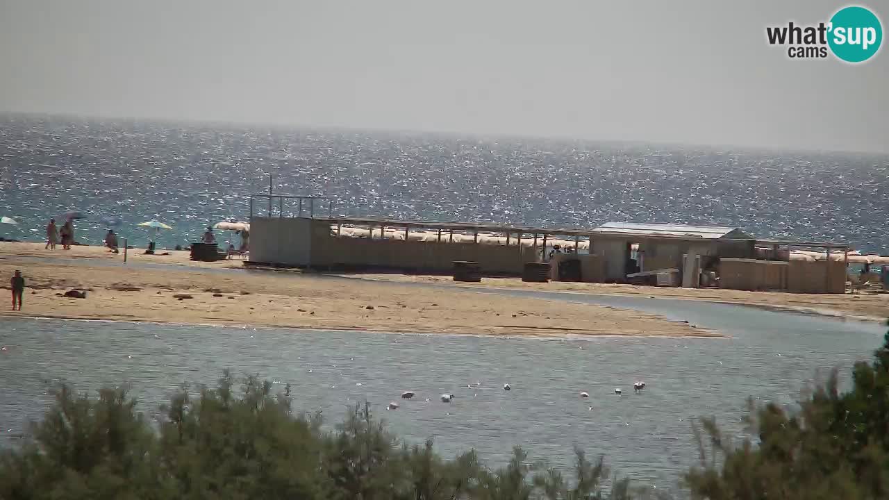 Webcam Chia – Live View of Su Giudeu Beach