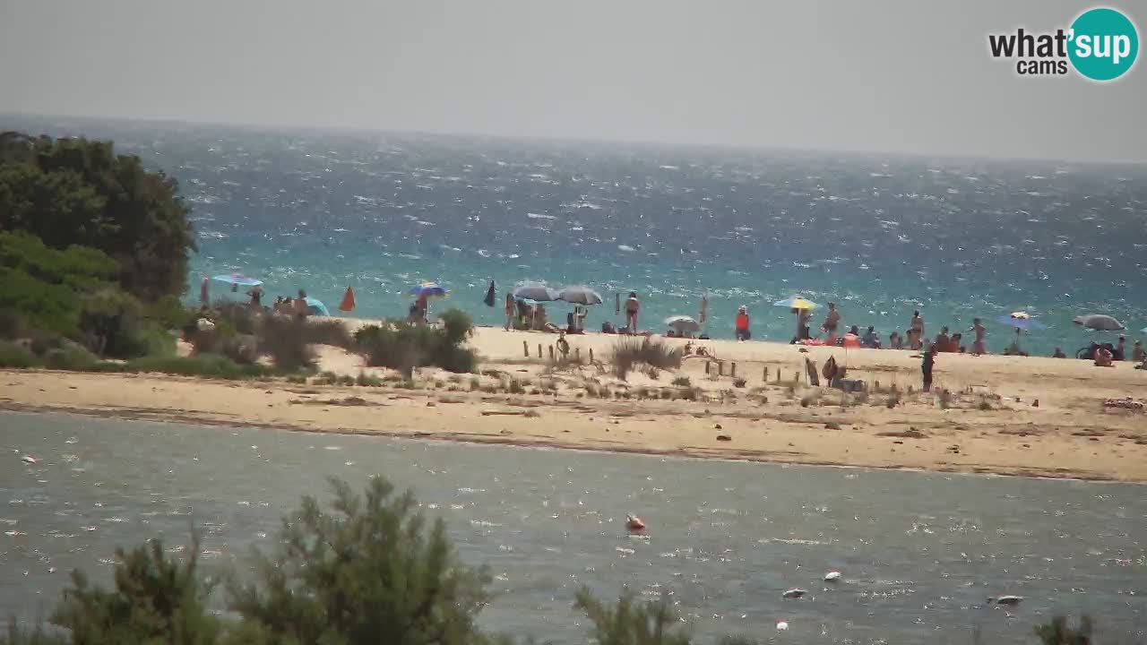 Webcam Chia – Live View of Su Giudeu Beach
