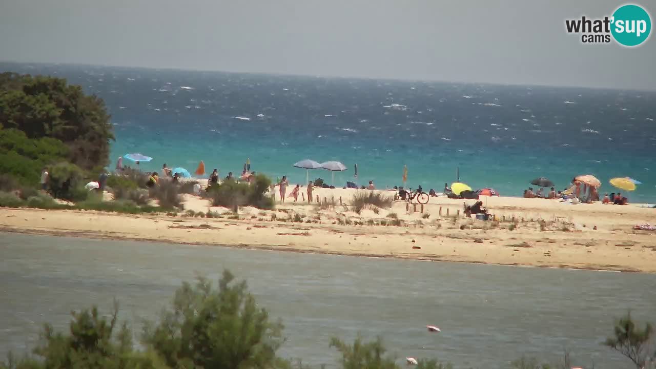 Webcam Chia – Live View of Su Giudeu Beach