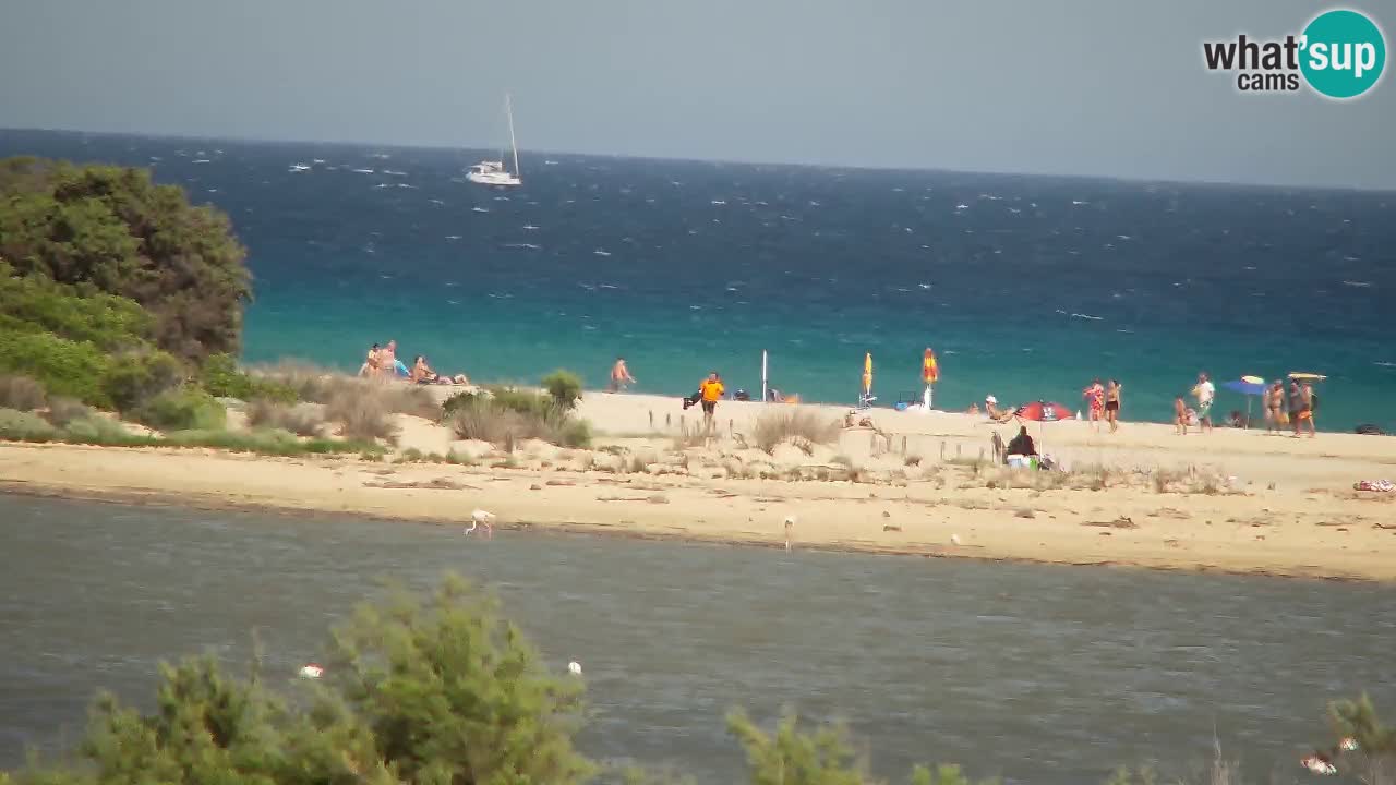 Web kamera Chia – Pogled uživo na plažu Su Giudeu