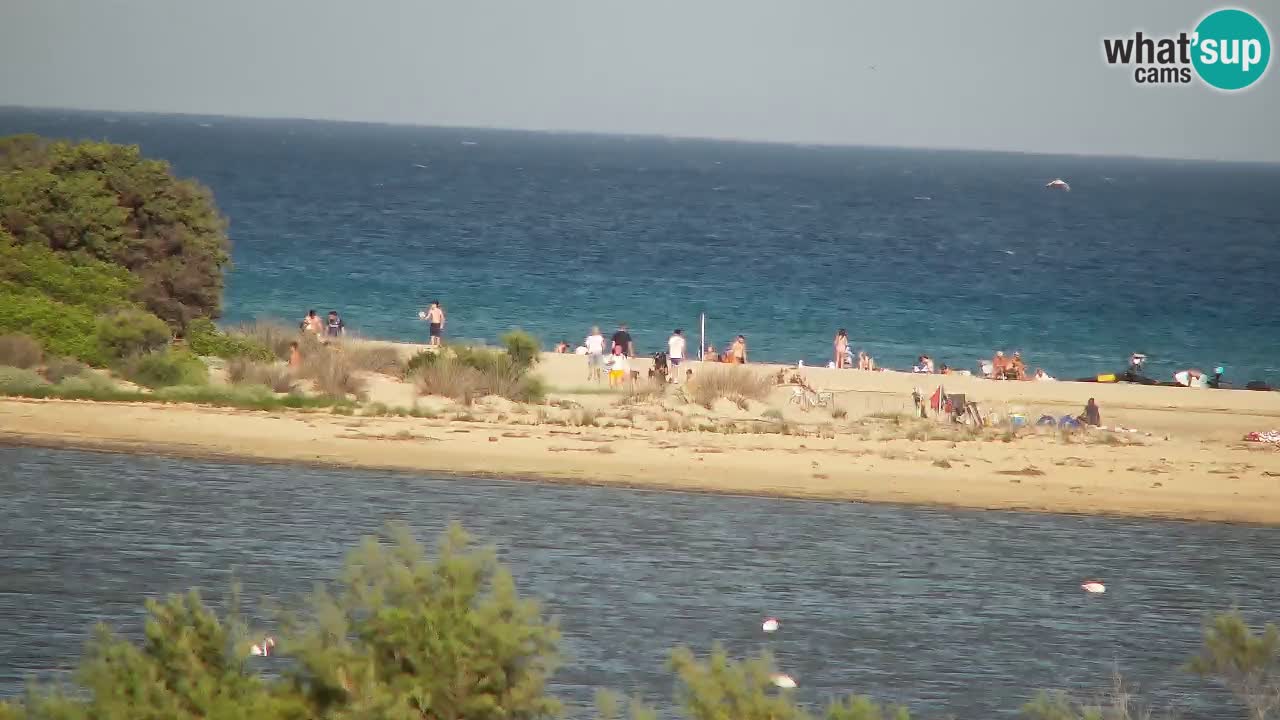 Webcam Chia – Vue en direct de la plage Su Giudeu