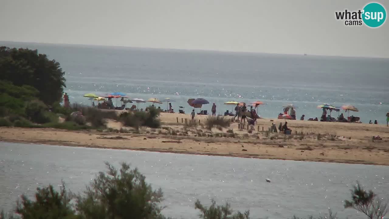 Web kamera Chia – Pogled uživo na plažu Su Giudeu