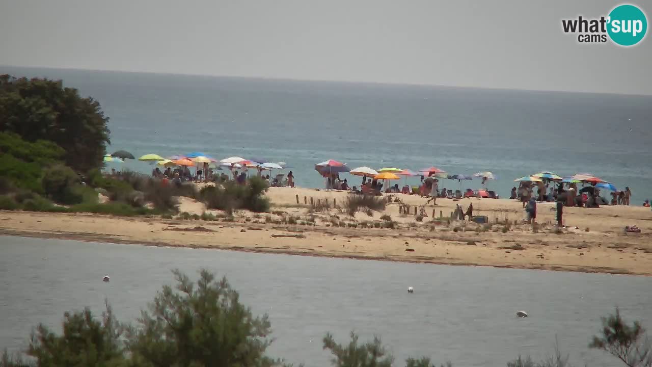 Webcam Chia – Live View of Su Giudeu Beach