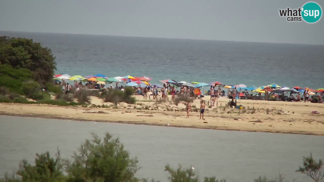 Webcam Chia – Vista en directo de la playa Su Giudeu