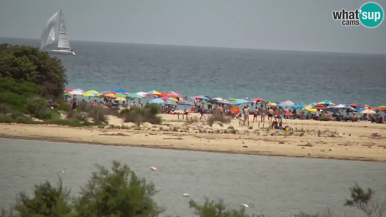 Spletna kamera Chia – Pogled v živo na plažo Su Giudeu