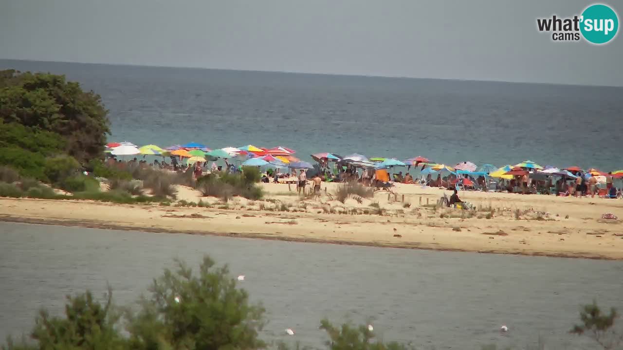 Webcam Chia – Live View of Su Giudeu Beach