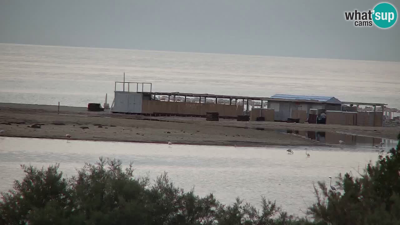 Webcam Chia – Liveblick auf den Strand Su Giudeu