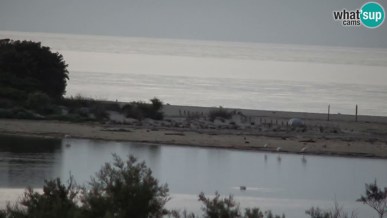 Webcam Chia – Live View of Su Giudeu Beach