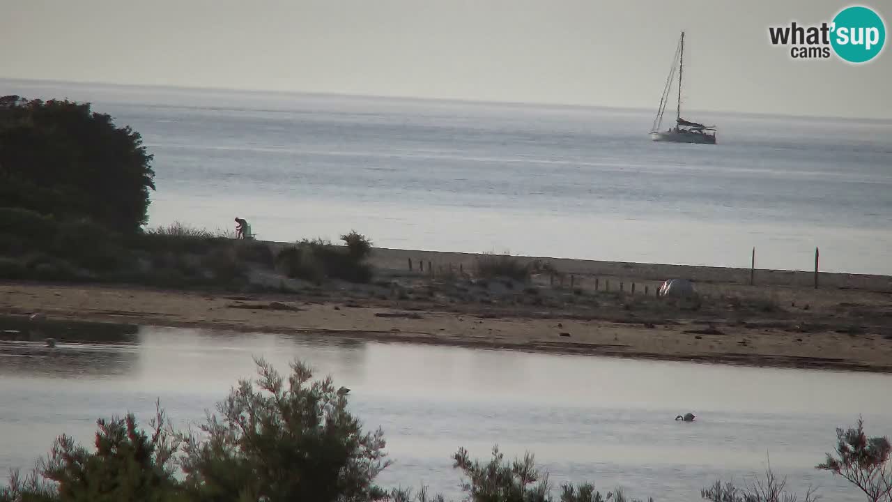 Webcam Chia – Live View of Su Giudeu Beach