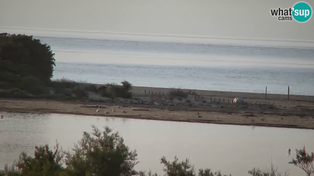Webcam Chia – Liveblick auf den Strand Su Giudeu