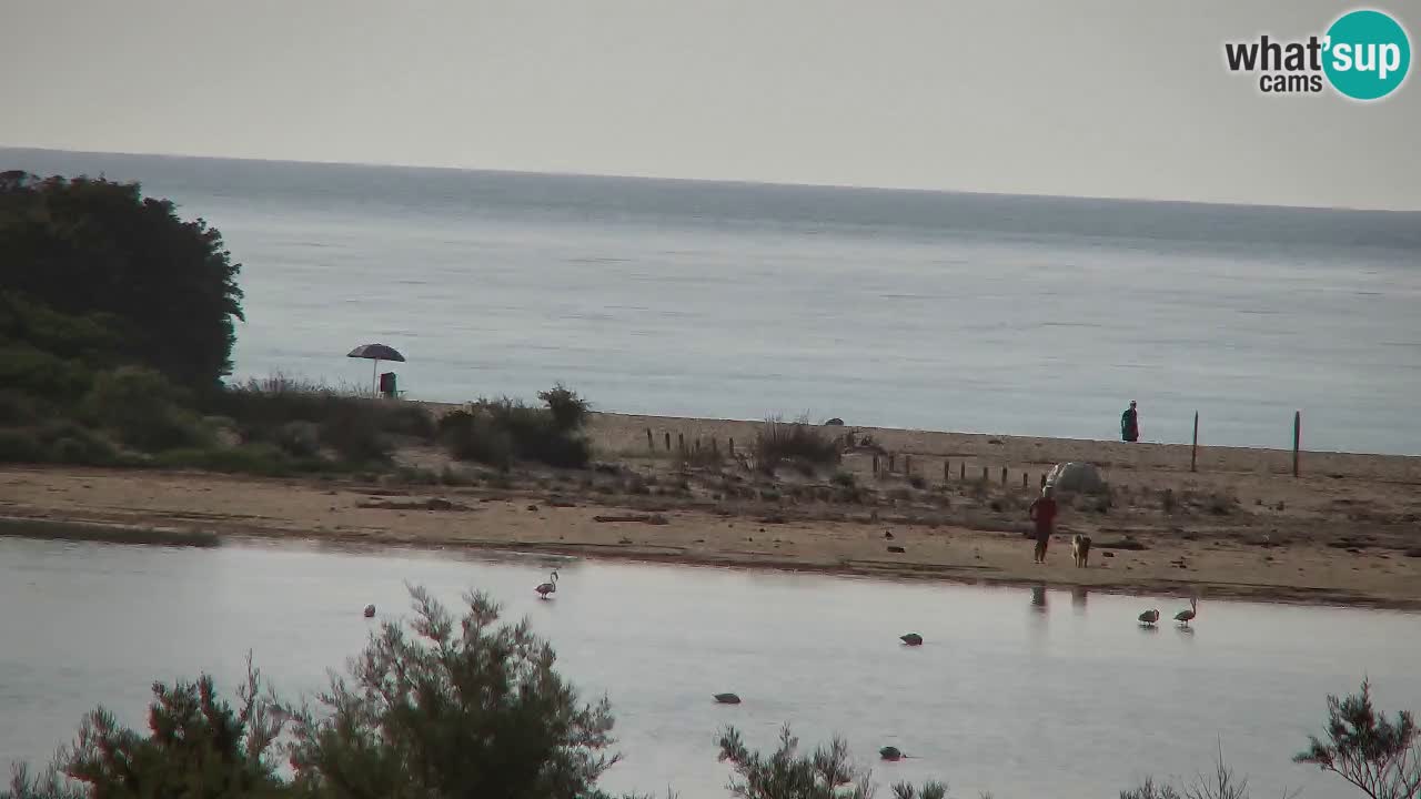 Webcam Chia – Liveblick auf den Strand Su Giudeu
