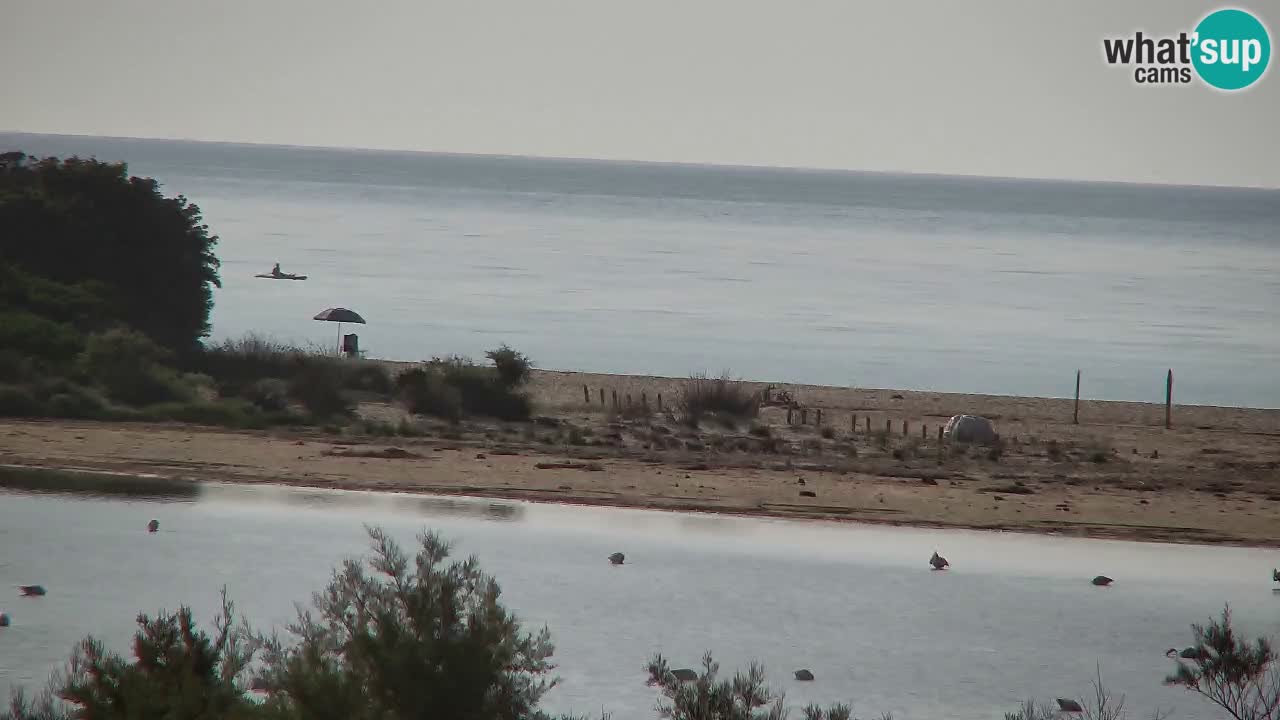 Webcam Chia – Live View of Su Giudeu Beach