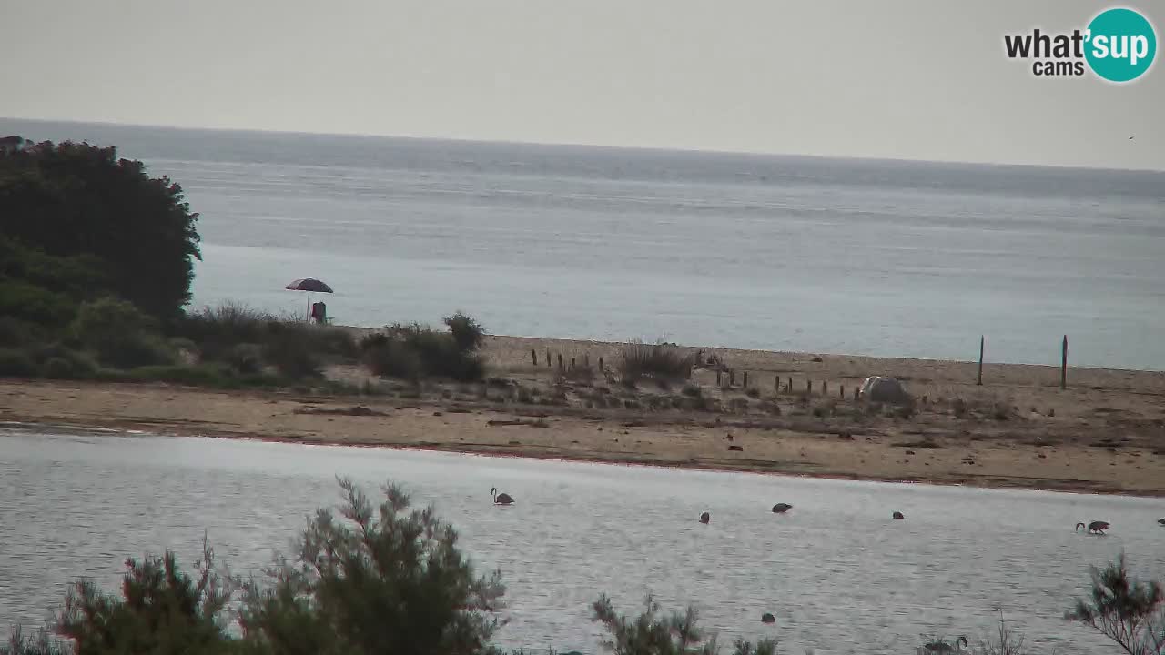 Webcam Chia – Liveblick auf den Strand Su Giudeu