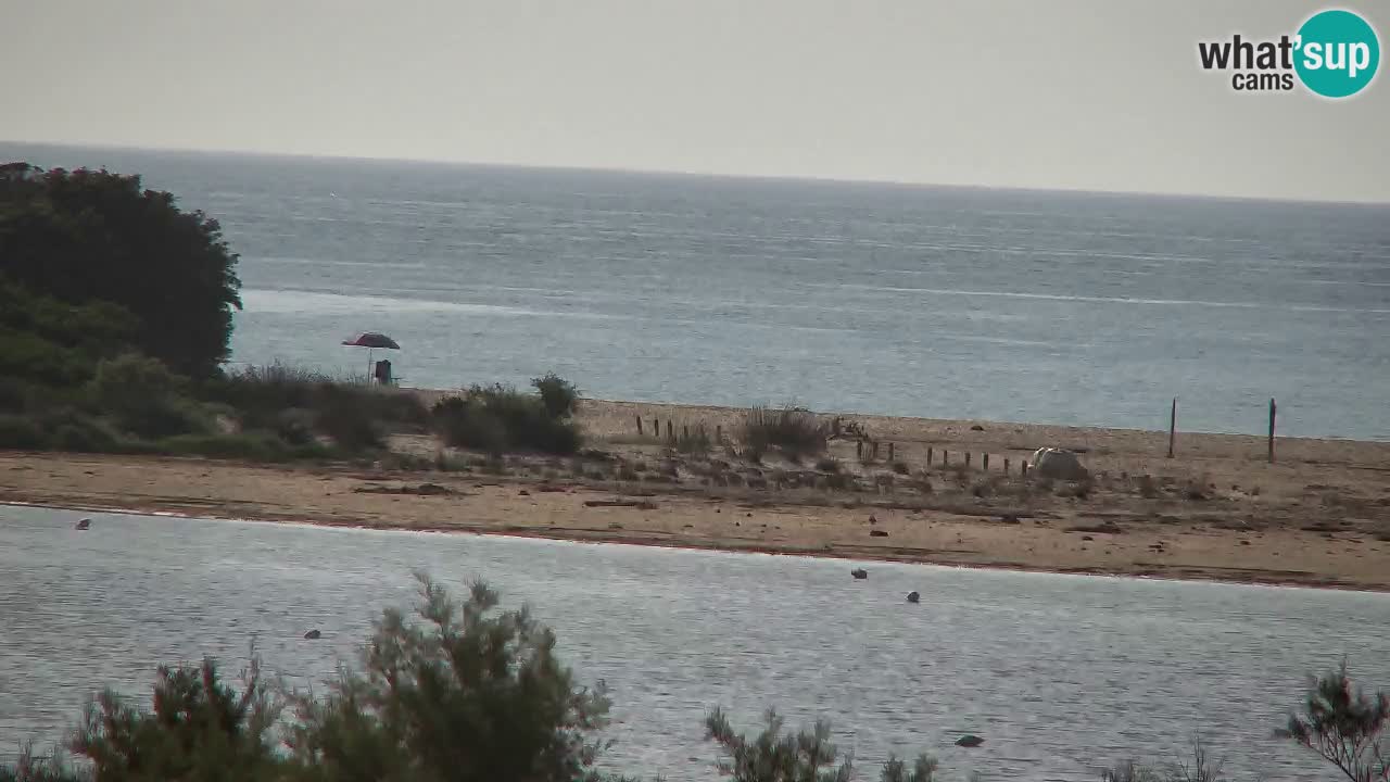 Webcam Chia – Live View of Su Giudeu Beach
