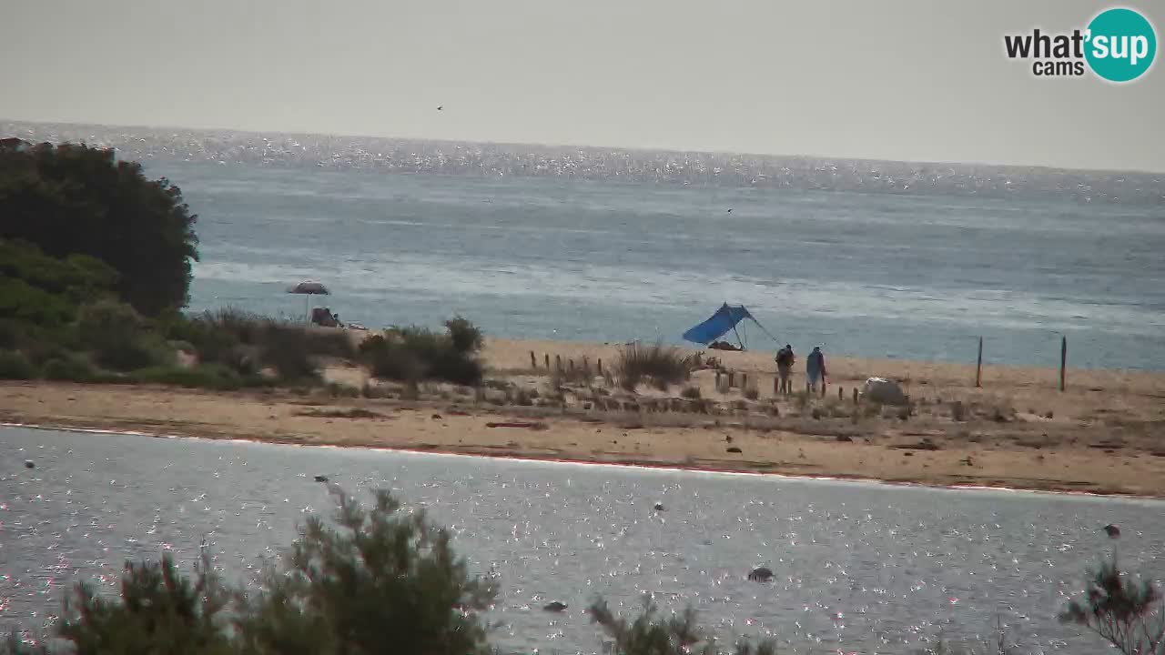 Webcam Chia – Liveblick auf den Strand Su Giudeu