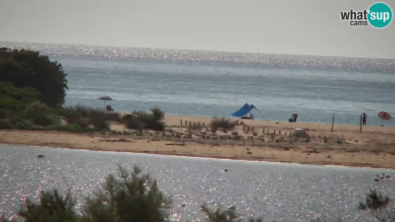 Spletna kamera Chia – Pogled v živo na plažo Su Giudeu
