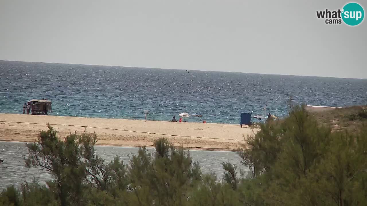 Webcam Chia – Live View of Su Giudeu Beach