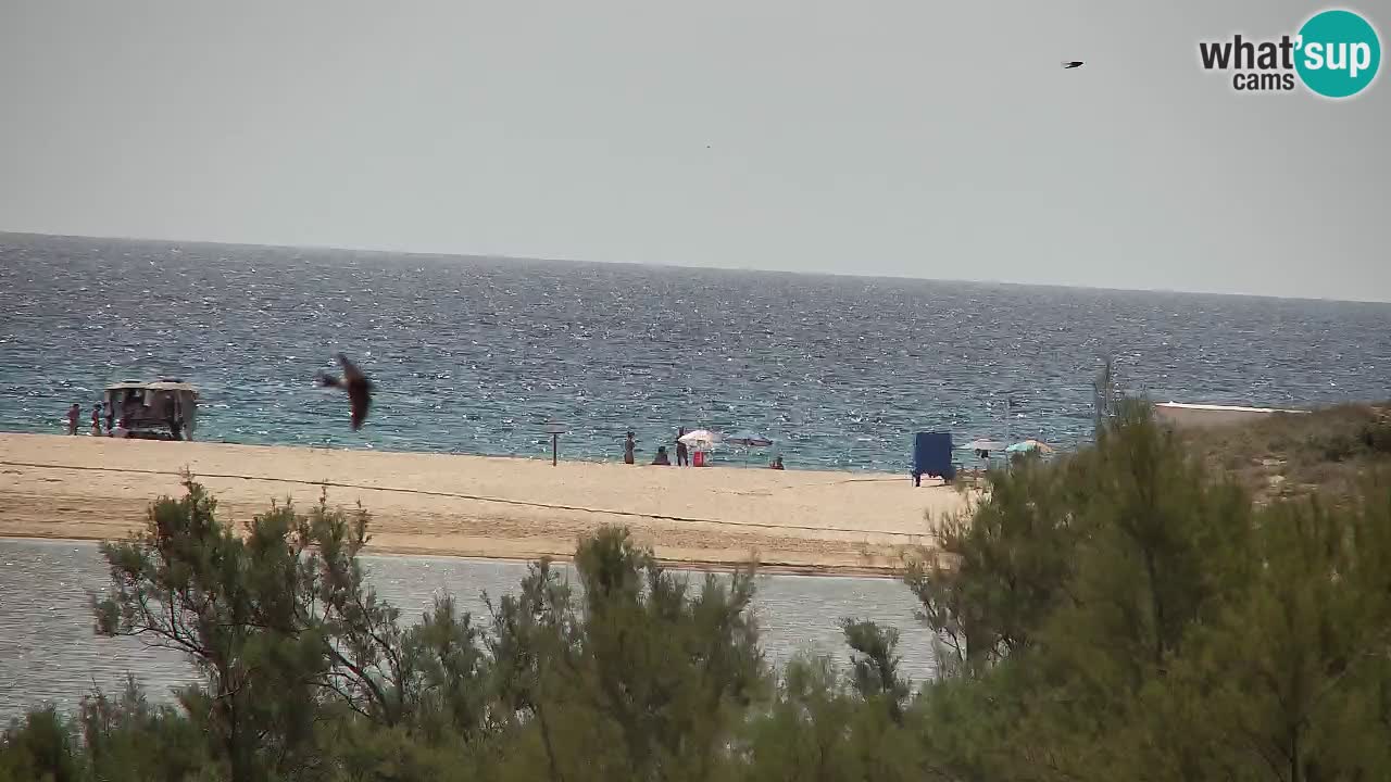 Webcam Chia – Liveblick auf den Strand Su Giudeu