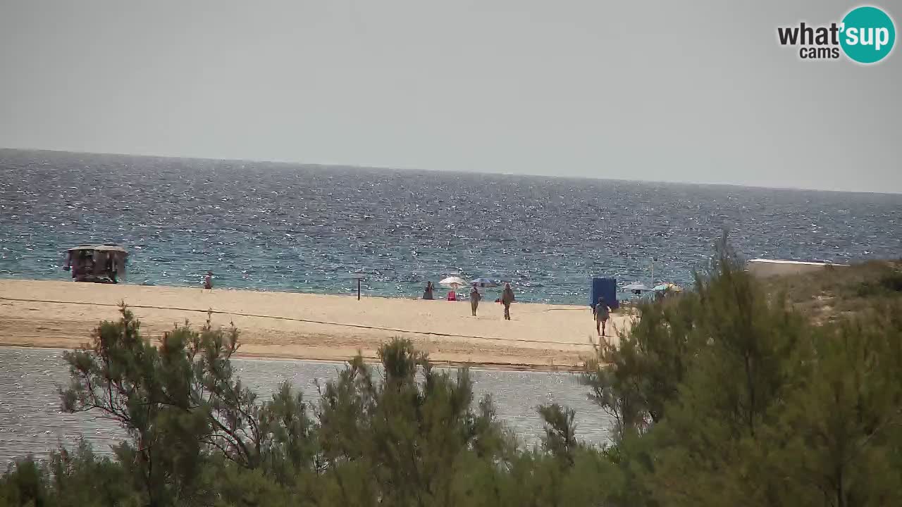 Webcam Chia – Live View of Su Giudeu Beach