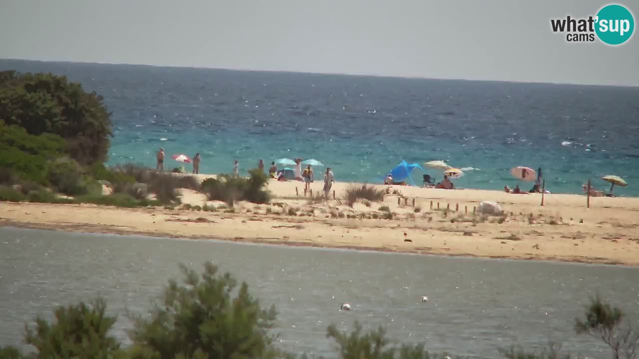 Webcam Chia – Live View of Su Giudeu Beach