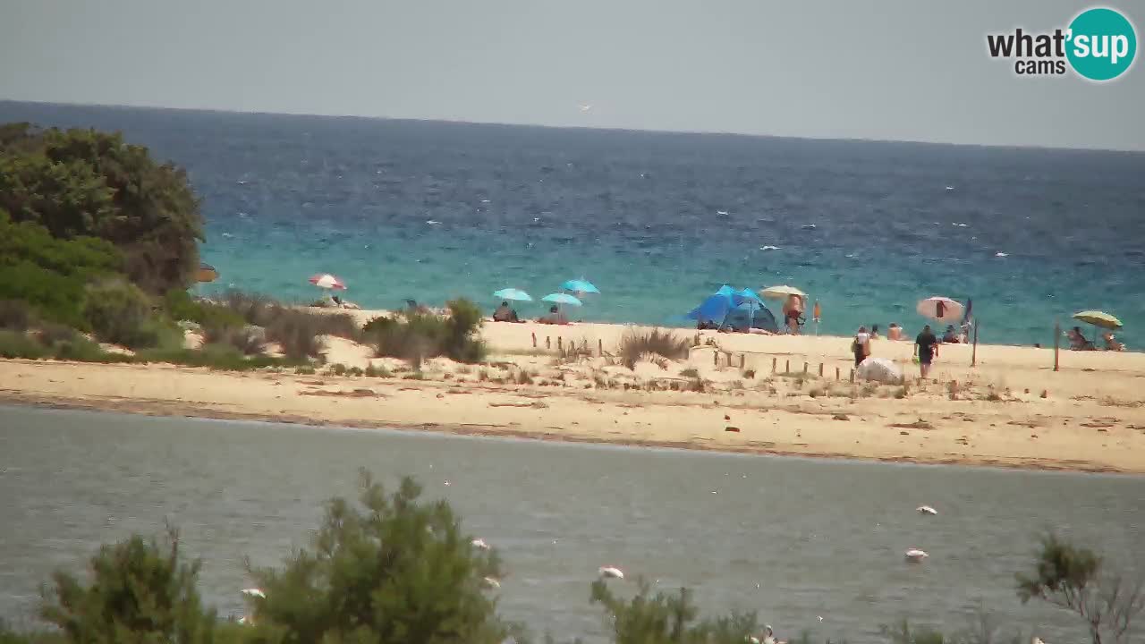 Webcam Chia – Vista en directo de la playa Su Giudeu