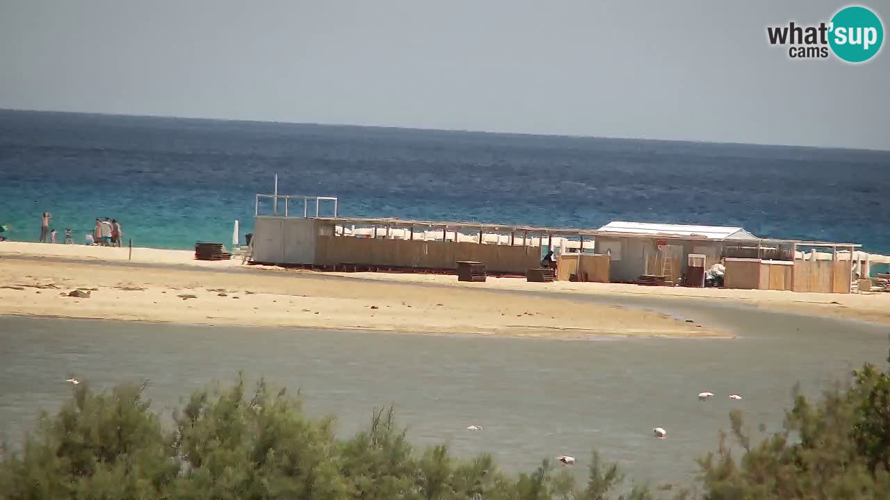 Webcam Chia – Live View of Su Giudeu Beach