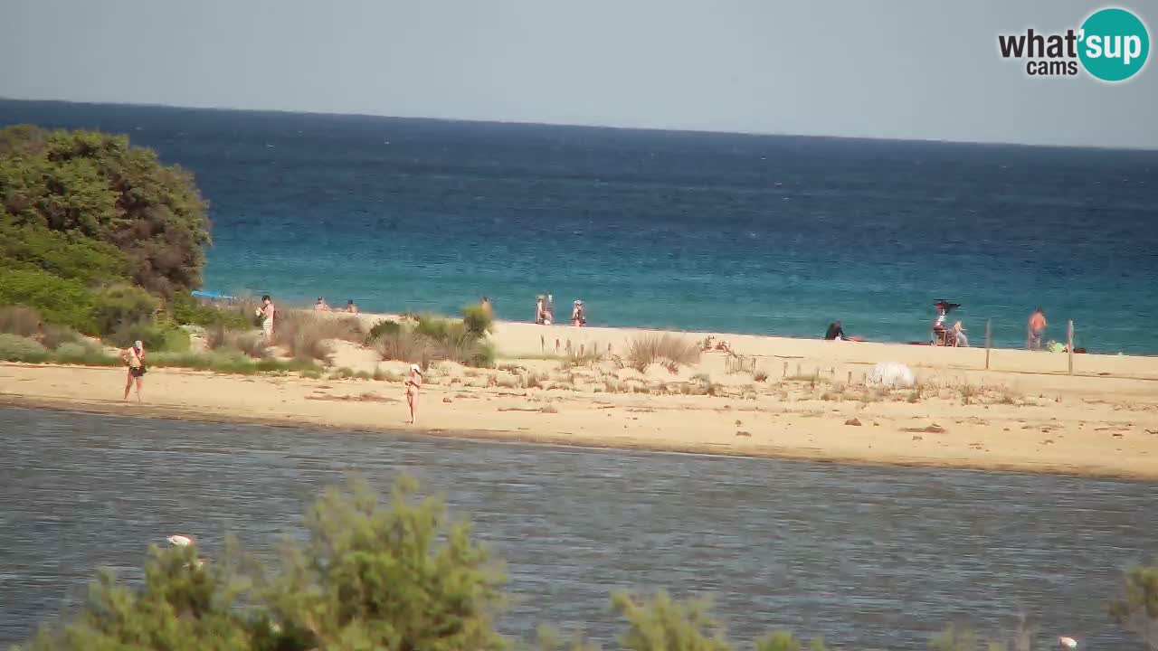 Webcam Chia – Spiaggia Su Giudeu in diretta