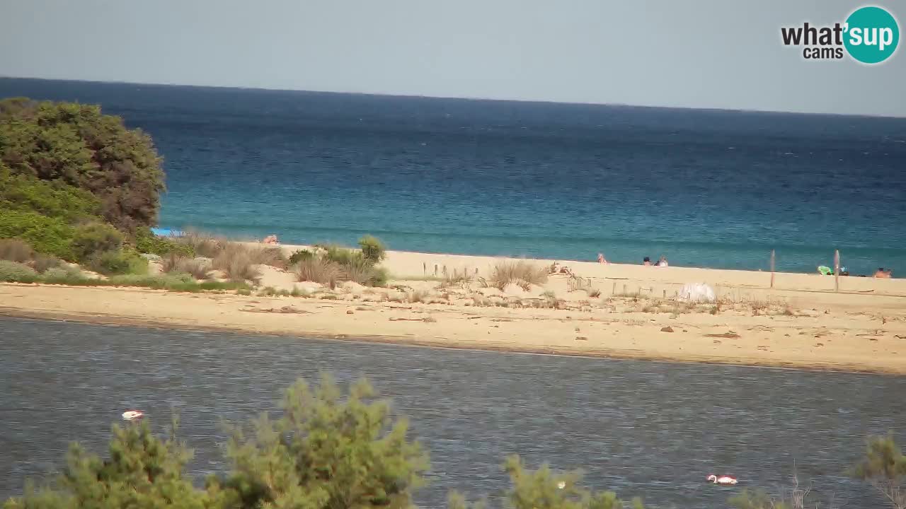 Webcam Chia – Vista en directo de la playa Su Giudeu