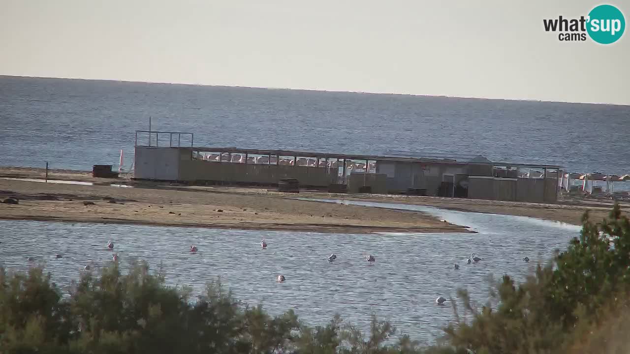 Webcam Chia – Vue en direct de la plage Su Giudeu