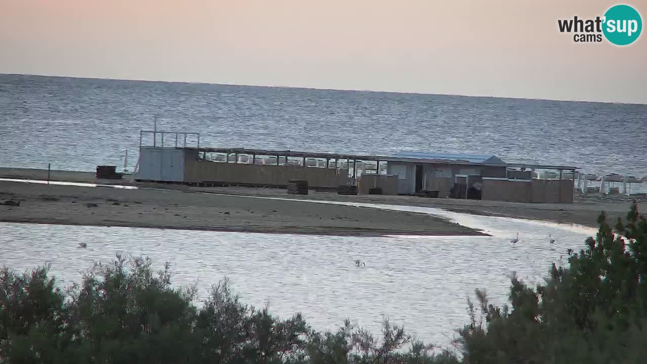 Webcam Chia – Liveblick auf den Strand Su Giudeu