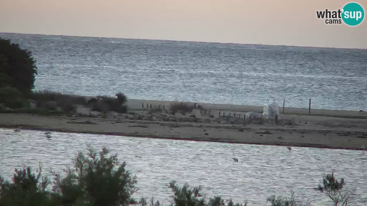 Webcam Chia – Liveblick auf den Strand Su Giudeu