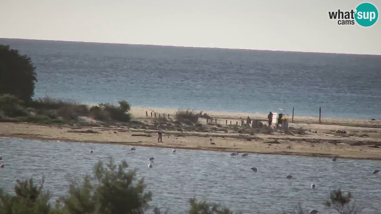 Webcam Chia – Live View of Su Giudeu Beach