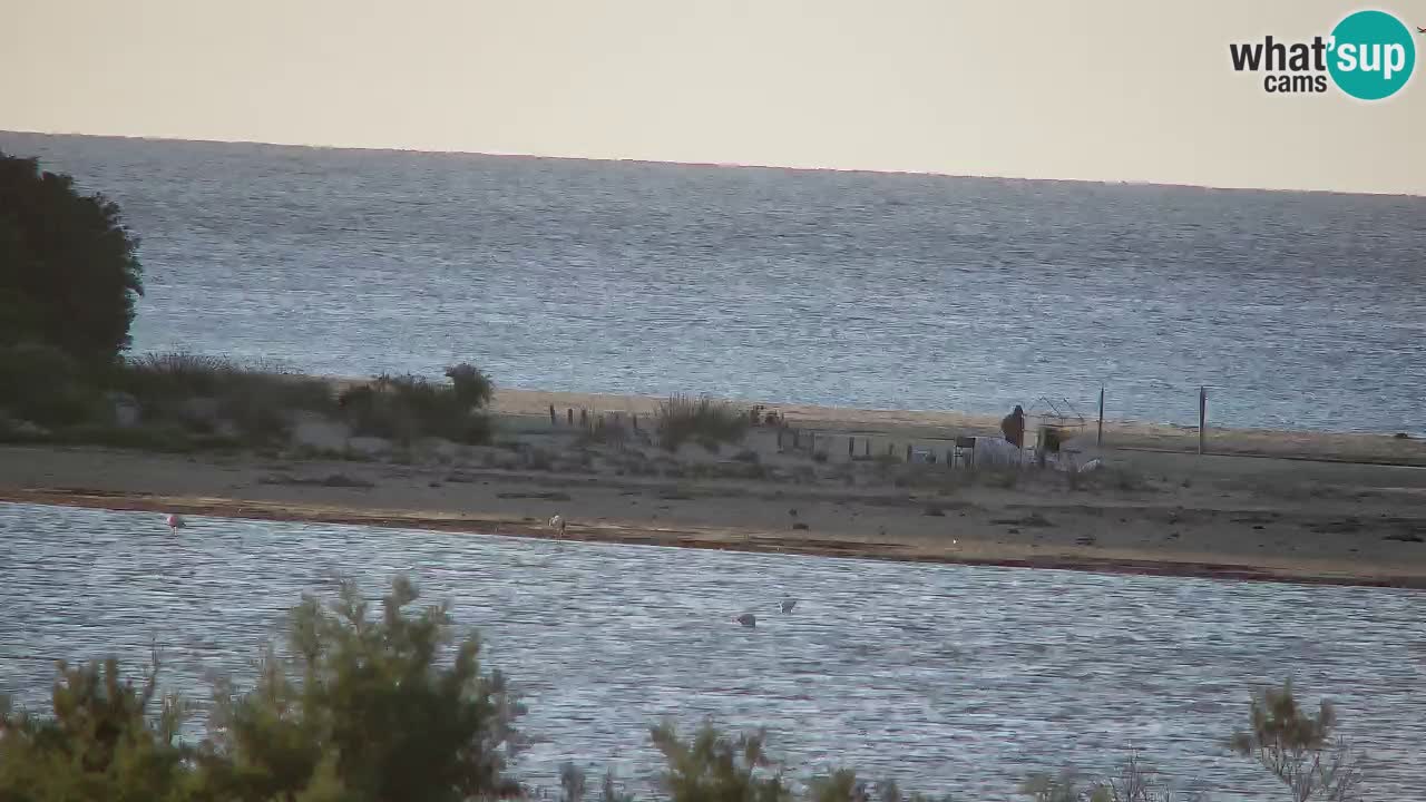 Webcam Chia – Vista en directo de la playa Su Giudeu