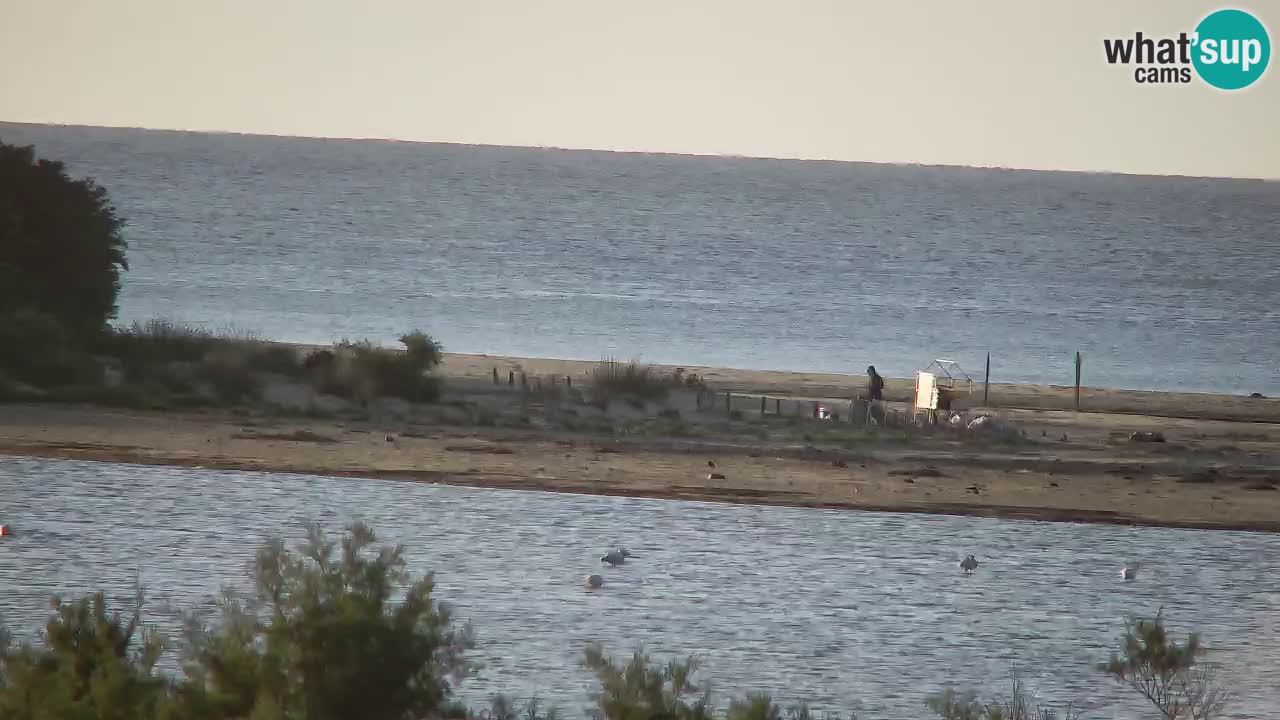 Webcam Chia – Live View of Su Giudeu Beach